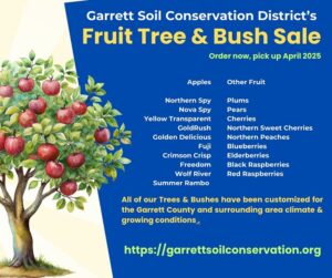 Social Media ad for GSCD