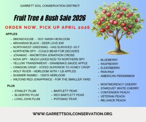 Facebook post advertising Fruit Tree and Bush Sale