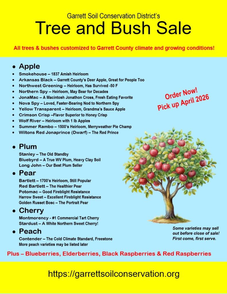 Flyer listing fruit trees for sale