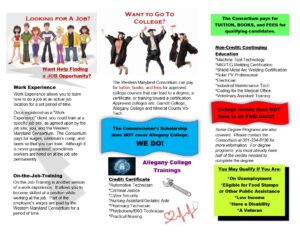 3 Fold Brochure with bright colors and bold graphics